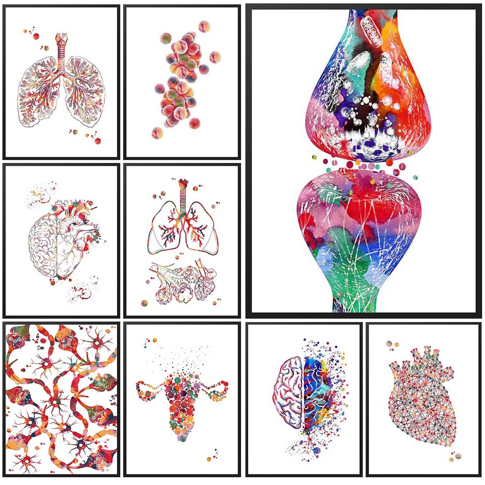

Neuron Anatomy Cell Posters Medicine Nordic Poster Wall Art Canvas Painting Home Decor Wall Pictures For Living Room Unframed