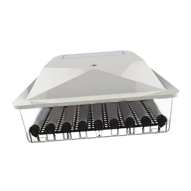 가정에서 가금류를 부화시키는 쉬운 방법