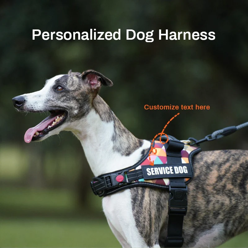 Personalized Reflective Nylon Dog Harness - Adjustable No Pull Design
