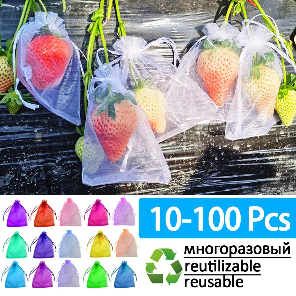10-100pcs Plant Protection Bags Fruit Grow Bags Netting Mesh for Vegetable Strawberry Grapes Pest Control Anti-Bird Garden Tools