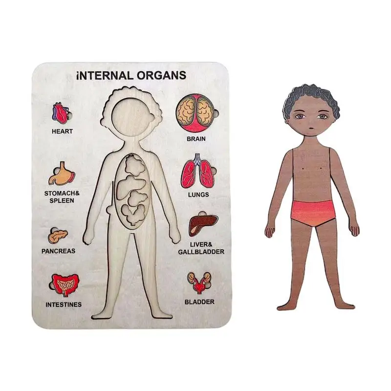 

Wooden Human Body Puzzle For Kids Learning Human Body Puzzle Boys Anatomy Body Parts Play Set Learn Body Parts Organs Muscles