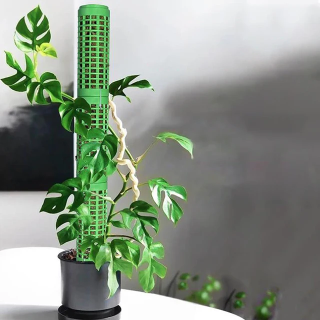 1/2 db Növényi Mászó Keret Egymásra Rakható Növény Mohás Bot Műanyag Üreges Kialakított Mohamos Pólus Cserepes Növények