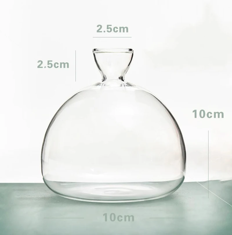 Kit Pour Faire Pousser Un Avocatier - 3 Vases De Démarrage Avec Base En Bois, Parfait Pour Débutants En Jardinage Intérieur
