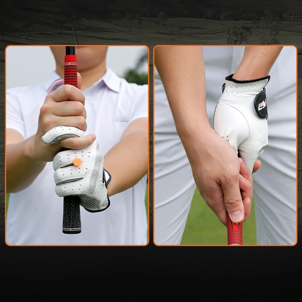 Slide image 24cebac60c094b2db4fcda82b1b7bb7e