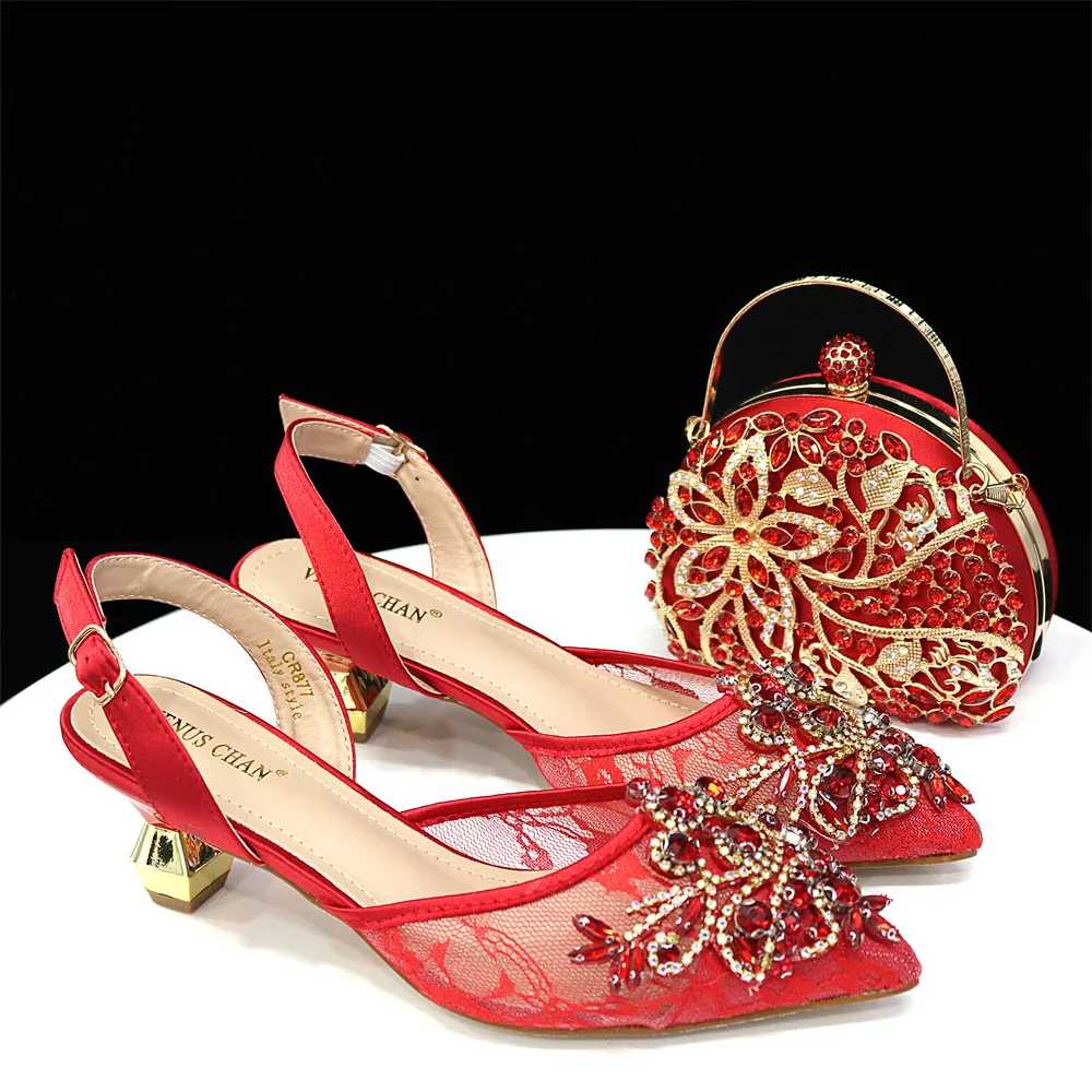 

High Quality Italian Design Luxurious Style Party Shoes and Bag Pointed Toe Low Heel Shoes with Shoulder Bag Women's Shoes