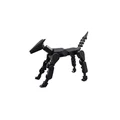 Black dog