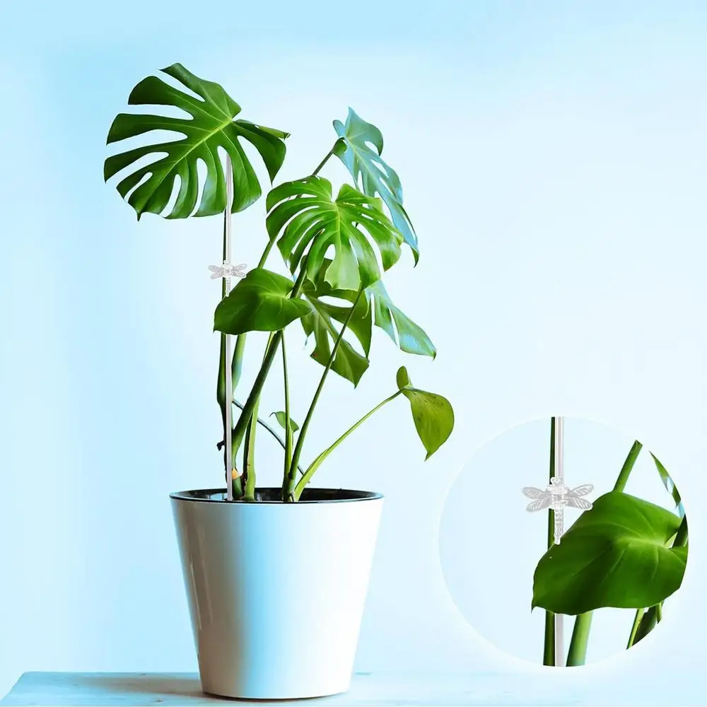 Description Picture 4 of itemAcrylic Plant Stakes Garden Stakes Clear Orchid Stakes Sticks Potted Plant Support Stakes for Supporting Vines Grow Upright