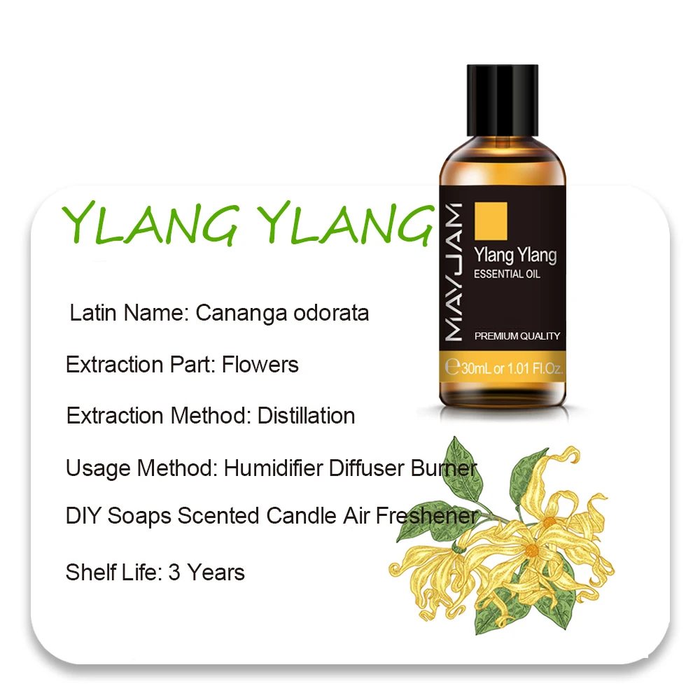MAYJAM Essential Oils - Aromatic Bliss Collection: Lavender, Jasmine, Eucalyptus, Ylang Ylang, Vanilla, and Tea Tree