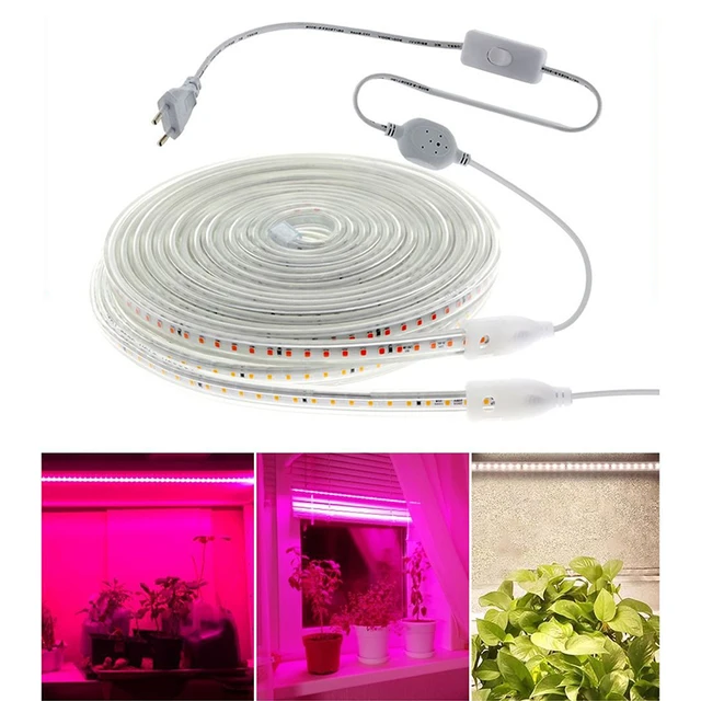 Led Növekedési Szalag Teljes Spektrumú Vízálló Ac220V Palánták Grow Könnyű Filito Lámpák Beltéri Növények Virágok Hidroponikus - Image 2