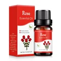Rose 1pcs