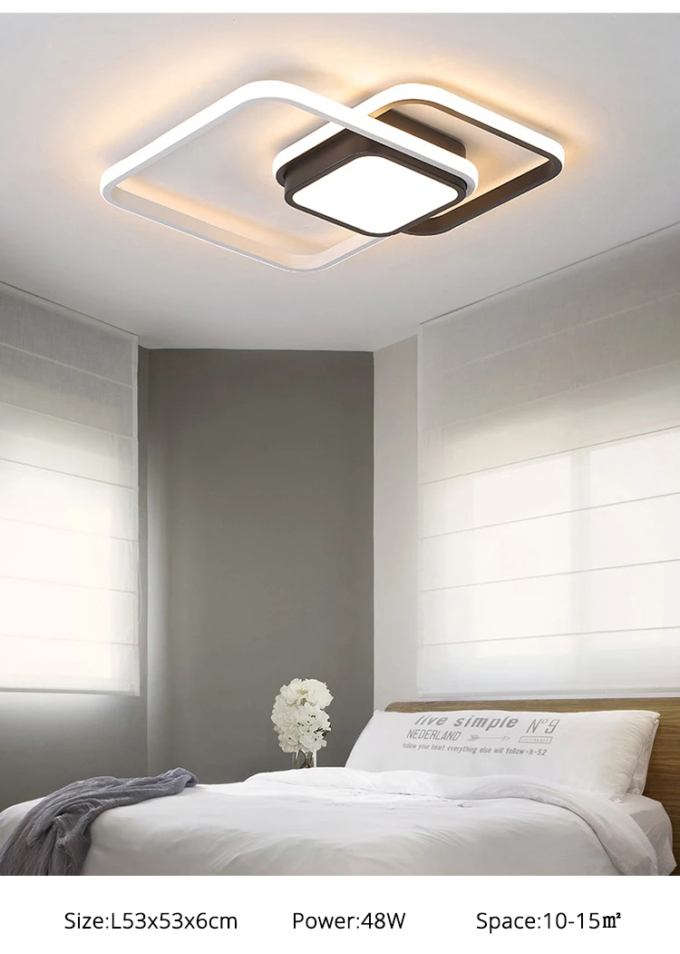 Dimmable Ceiling Light
