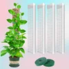 Garden Subject Plants Moss Pole Flower Plant Climbers Bonsai Accessories Pots Tutors ,for Planters Plants Growth Holder Support