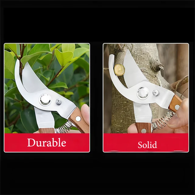 1/3PCS, Gardening Shears Flower Branch Scissors Garden Scissors Stainless Steel Potted Pruning Branch Shears Pruning Tool 4