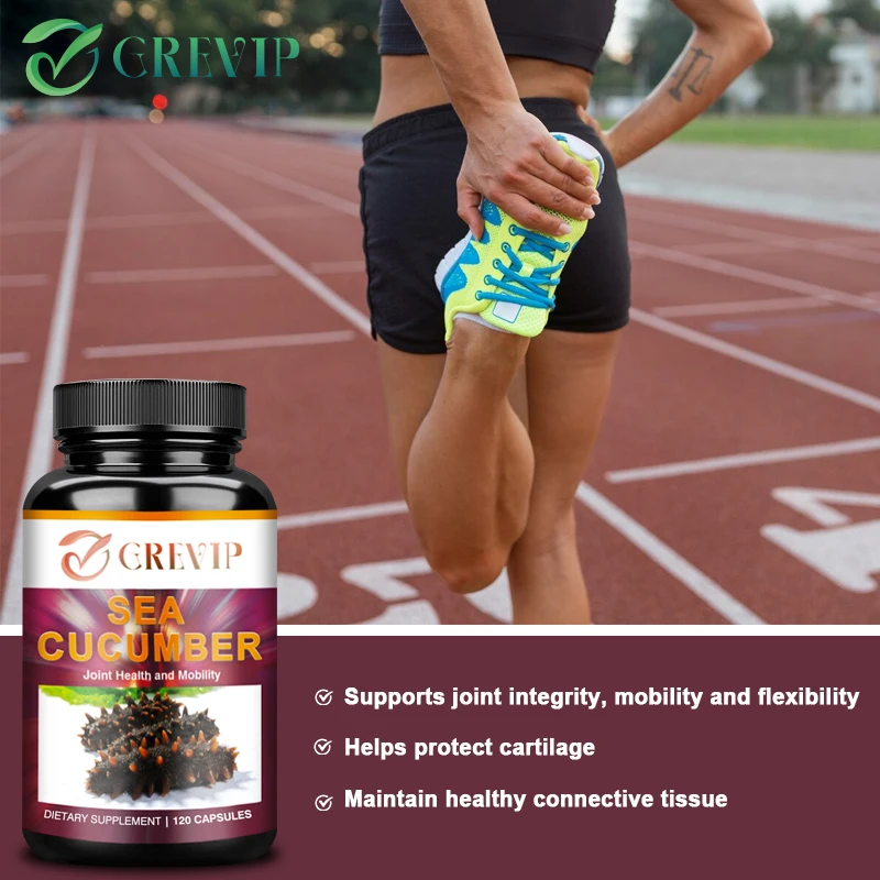 Sea Cucumber Natural Supplement Promotes Joint Health Cartilage Protection
