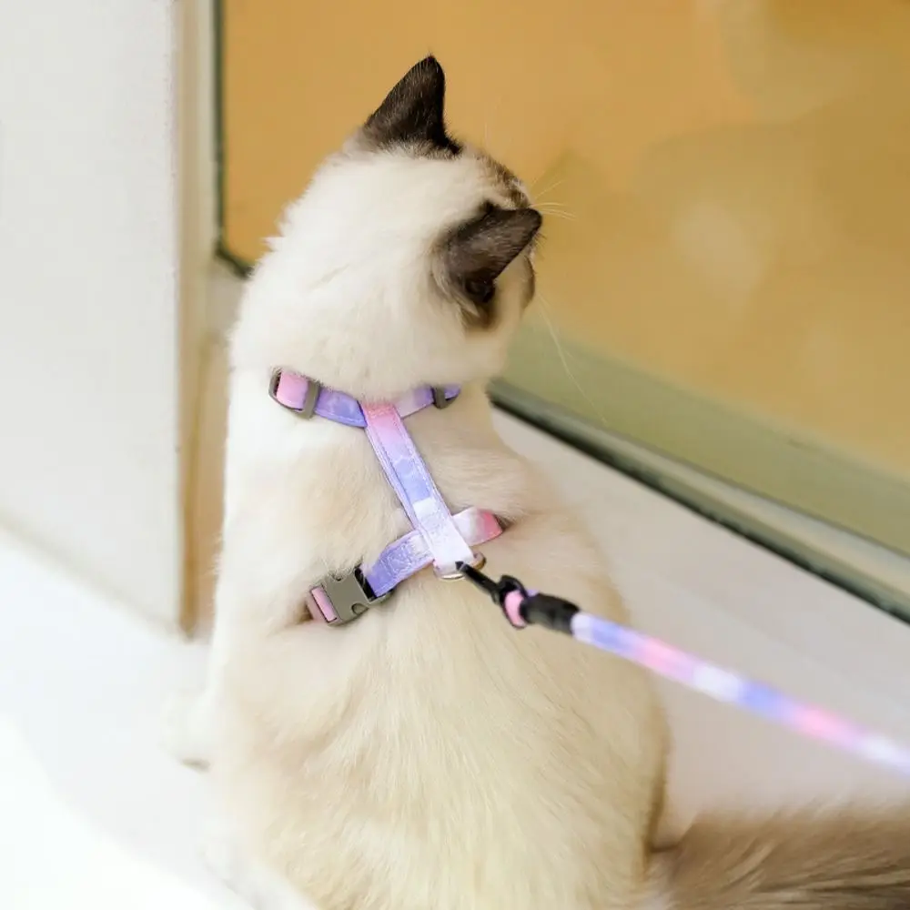 Gradient Cat Harness Set 3