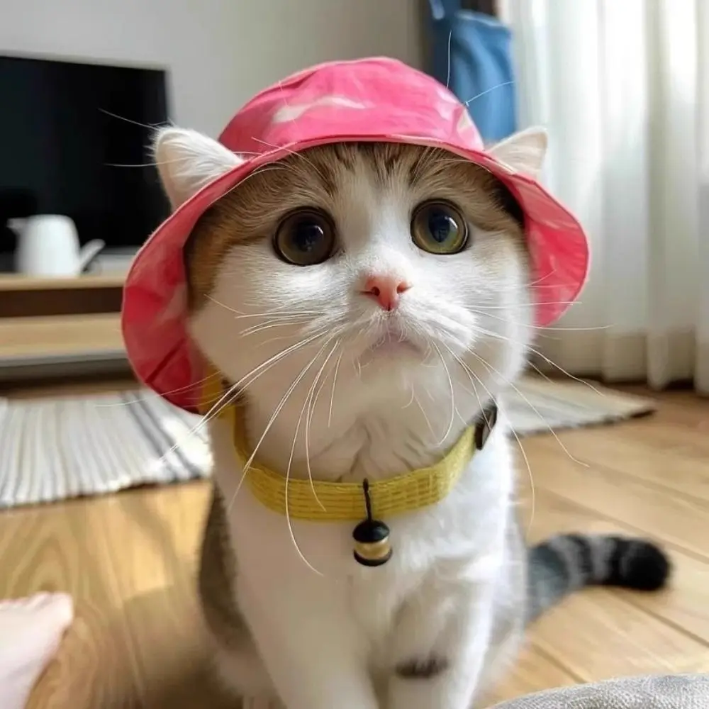 여름용 캣썬햇 면 소재 고양이 햇빛 가리개 모자 S/M/L 사이즈 둥근 챙 귀 구멍 있는 고양이 버킷햇 야외 자외선 차단 애완동물 모자 여행용