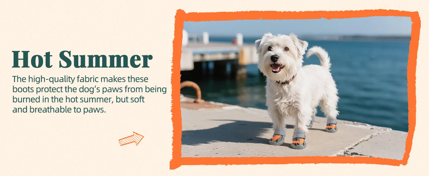 dog winter boots