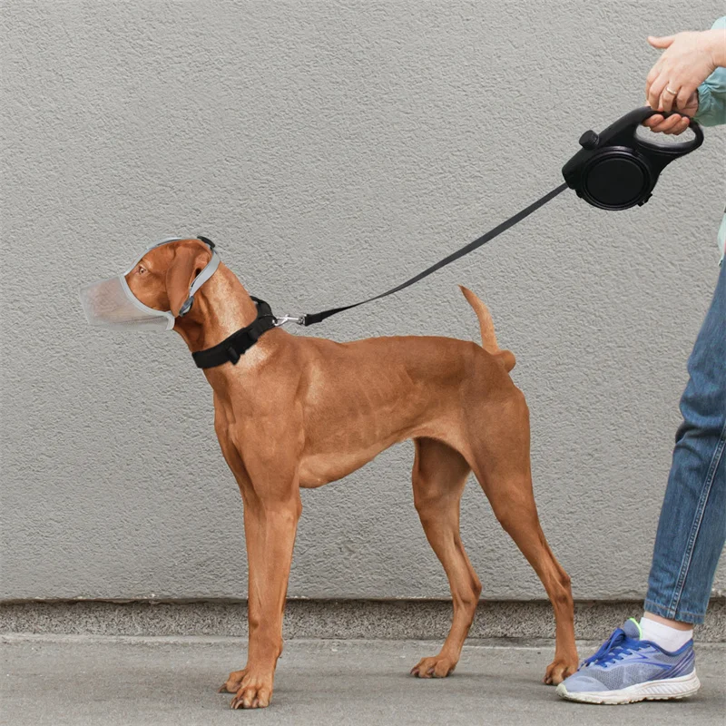 Dog Muzzle Soft Breathable Muzzle Dog Smile Smuzzle Nonaggressive Mesh Water Permeable Cotton Lined Snout Strap Poly Pet