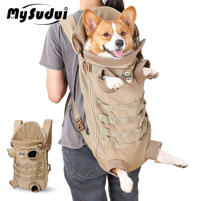 designer dog carrier