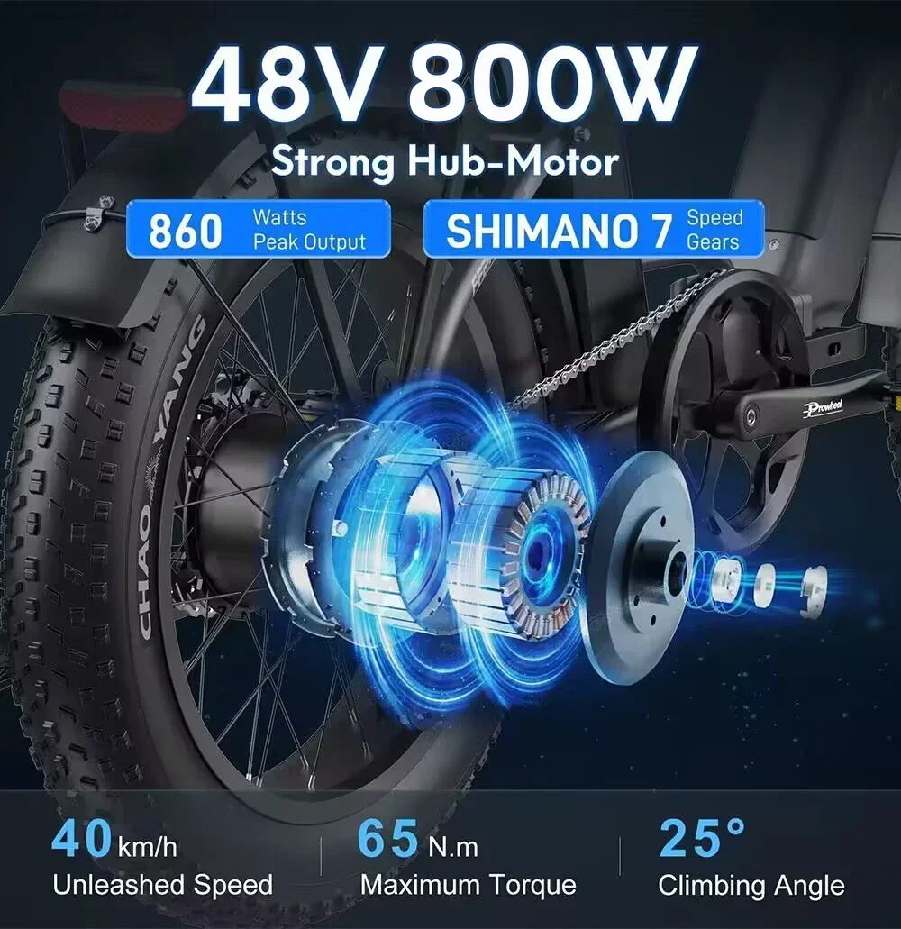 BLJ Ebike 20X4.0 Tire 750W 48V 13AH 20 inches Men's and women's electric bicycle suitable for urban beaches electric bicycle electric bike