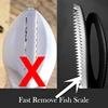 Efficient Fish Scale Remover Stainless Fish Cleaning Tool Fish Scale Remover Fish Skin Brush Scraping Scale Peeler Kitchen tools 3