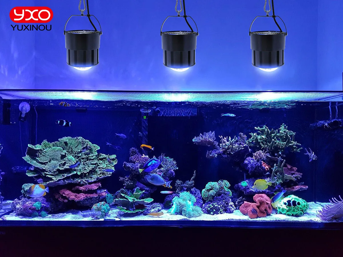 Aquarium Light Bulb 200W Plants Growing Fish Tank Lights Full Spectrum Tank Lamp aquatic plants Tank Coral _ - AliExpress Mobile