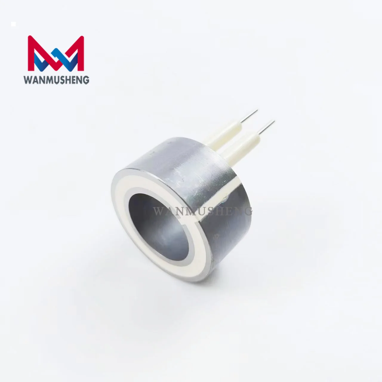2Pcs Common Rail Diesel Fuel Coil for 7206-0379 Valve 20440388 Injector