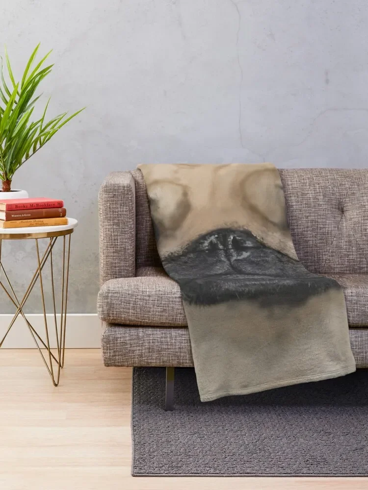 �۱� ������ ���, ������ ������ �ܿ�, ��� ���� ���