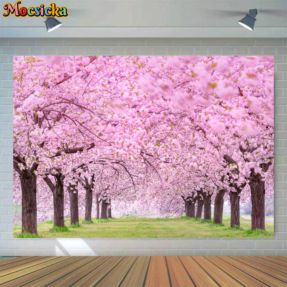 Mocsicka          ʻȭ  , Ʃ  Կ ǰ