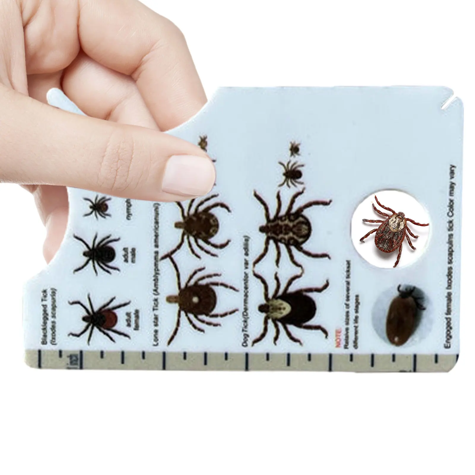 Tick Card For People Tick Remover For Dogs Portable Tick Card con lente d'ingrandimento per rimuovere delicatamente le zecche da persone e animali domestici