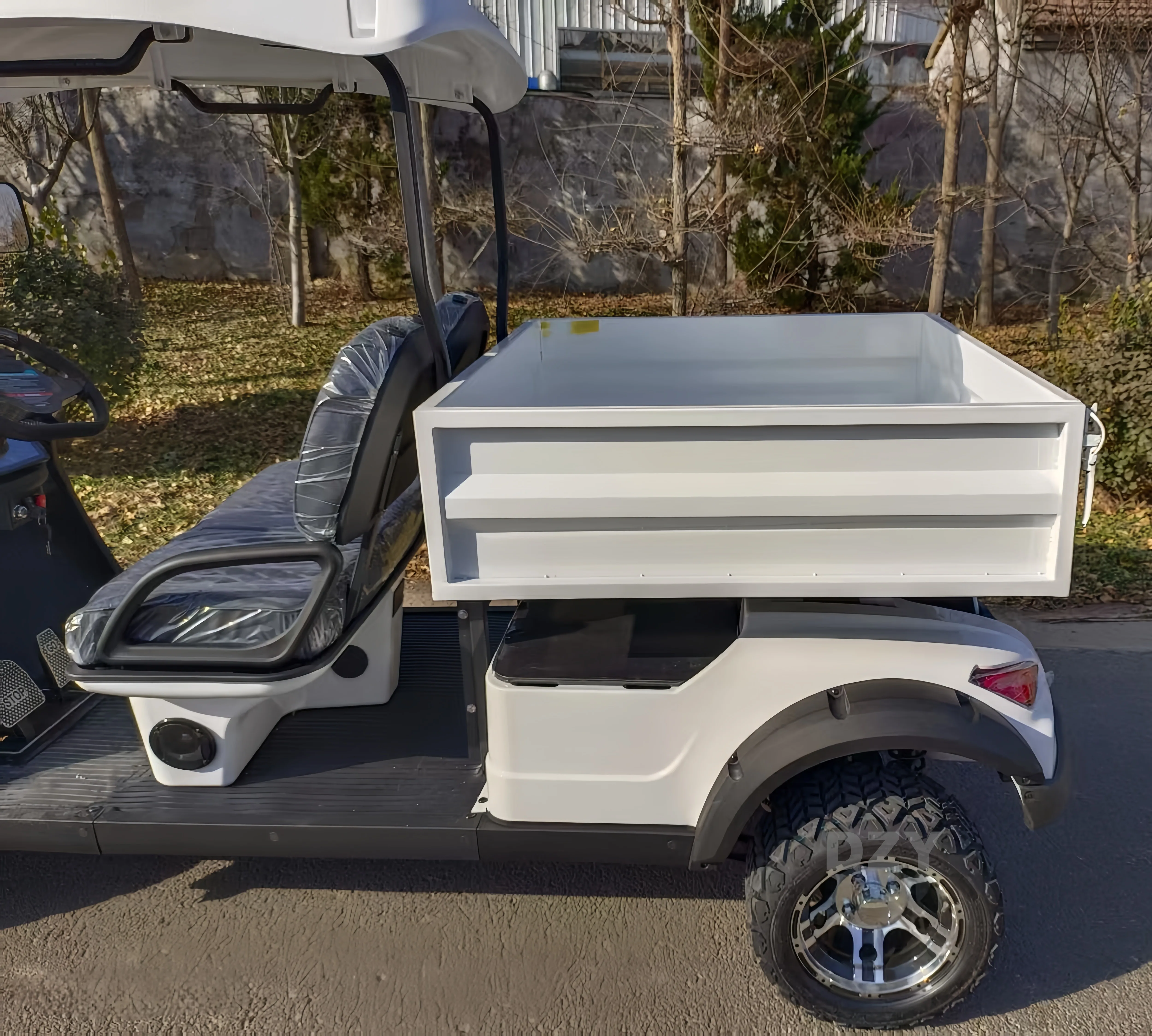 Customizable 6-Seater Portable Electric Golf Buggy Afable Hunting Style Cart 72V 48V Battery EEC Certified Club Car
