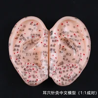 8 Cm Ear Acupuncture Model Auricular Application Ear Acupuncture Points Model  Ear Acupuncture Earpins 2
