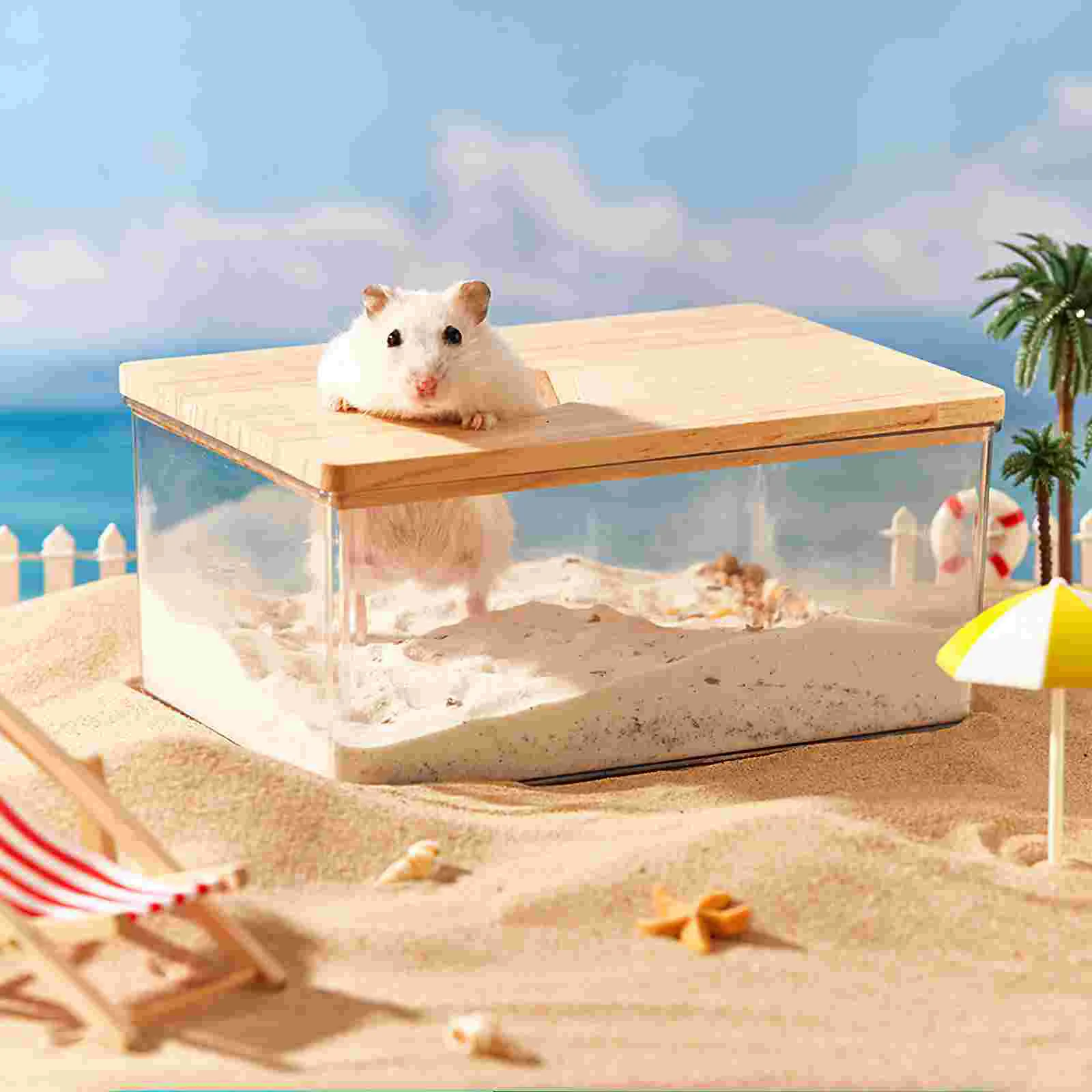 Chinchilla Bath Container Pet Supplies Sand House Hamster Sandbox Acrylic Travel