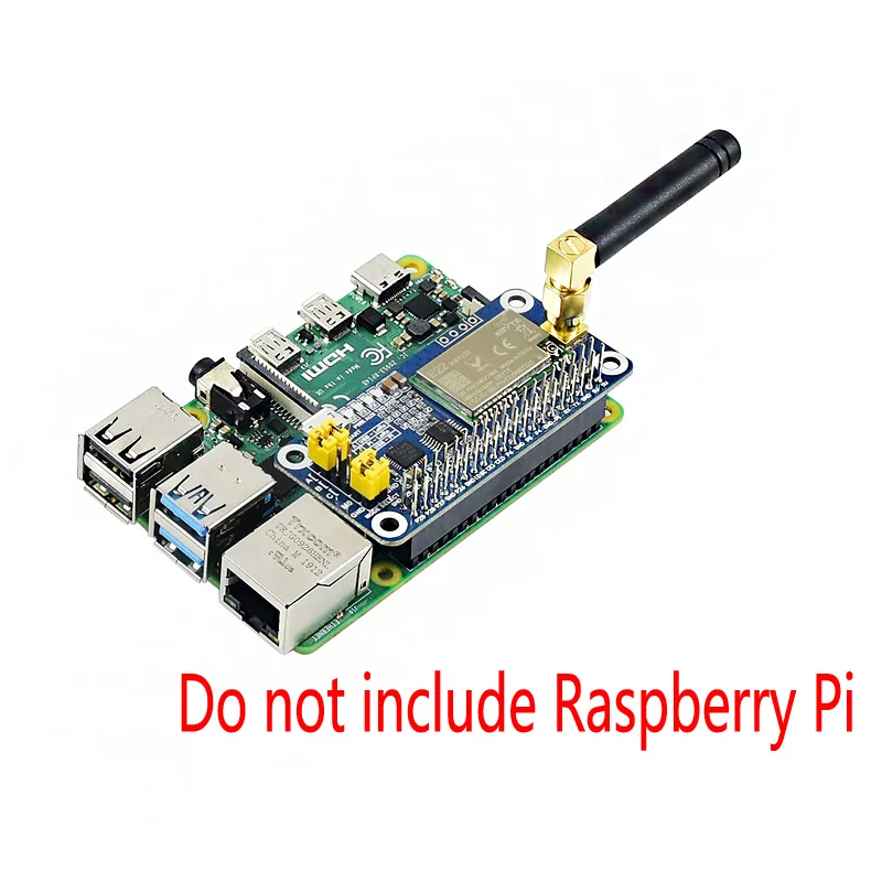 Raspberry Pi-sx1262 Frequency Band Lora Hat 915mhz