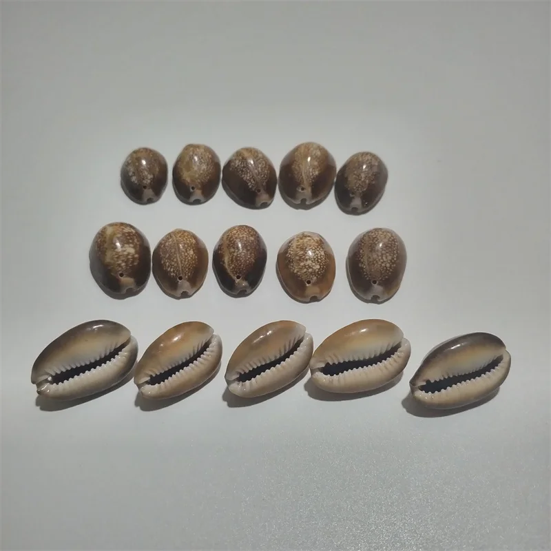 l Sea Snail Turtle ell Pearly  Creative Material for Children's DIY Bracelet Handmade Crt Home Decoration