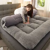 Le plus récent matelas épaissi chaud en laine d'agneau matelas Tatami matelas de dortoir d'étudiant antidérapant pliable pour chambre canapé-lit rsi 1