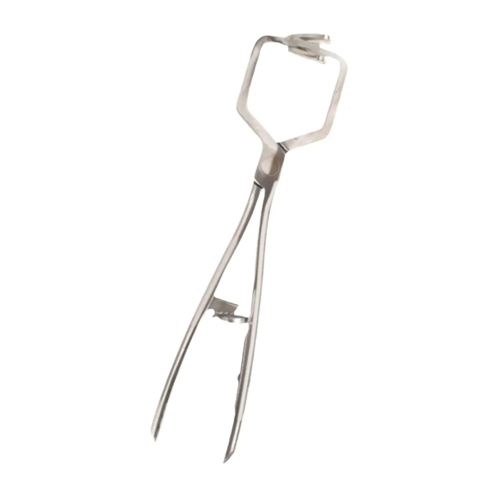 Stainless Steel Bander Livestock Castration Solution Heavy Duty Opener Castrating Plier for Lambs Calves Piglets Veterinary Stainless Steel Bander Livestock Castration Solution Heavy Duty Opener Castrating Plier for Lambs Calves Piglets Veterinary