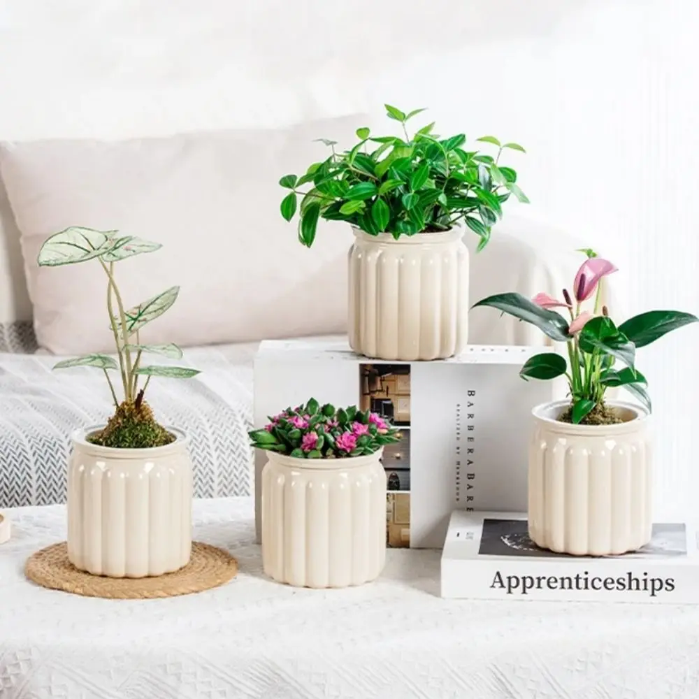 Hydroponic Plants Pot Self Watering Flowerpot Indoor Mini Succulent Planter Tabletop Vase Self-watering Home Office Bonsai Decor flower pot flower vase hydroponic flower pot plant pot