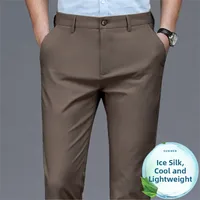 Summer Thin Ice Silk Anti-Wrinkle Casual Pants Men's Spor Straight Leg Busin Trousers Smooth Drapey Non-Iron Long Trousers