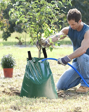Tree watering bags