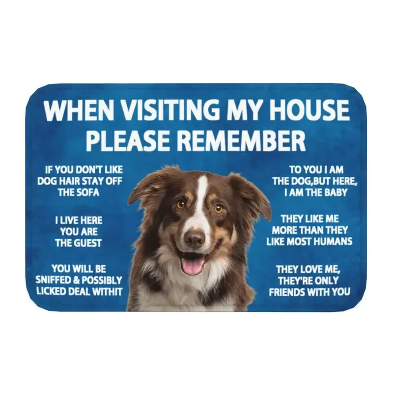 

Please Remember Border Collie Dogs House Rules Doormat Mat Anti-Slip Bath Kitchen Bedroom Living Room Entrance Rug Carpet