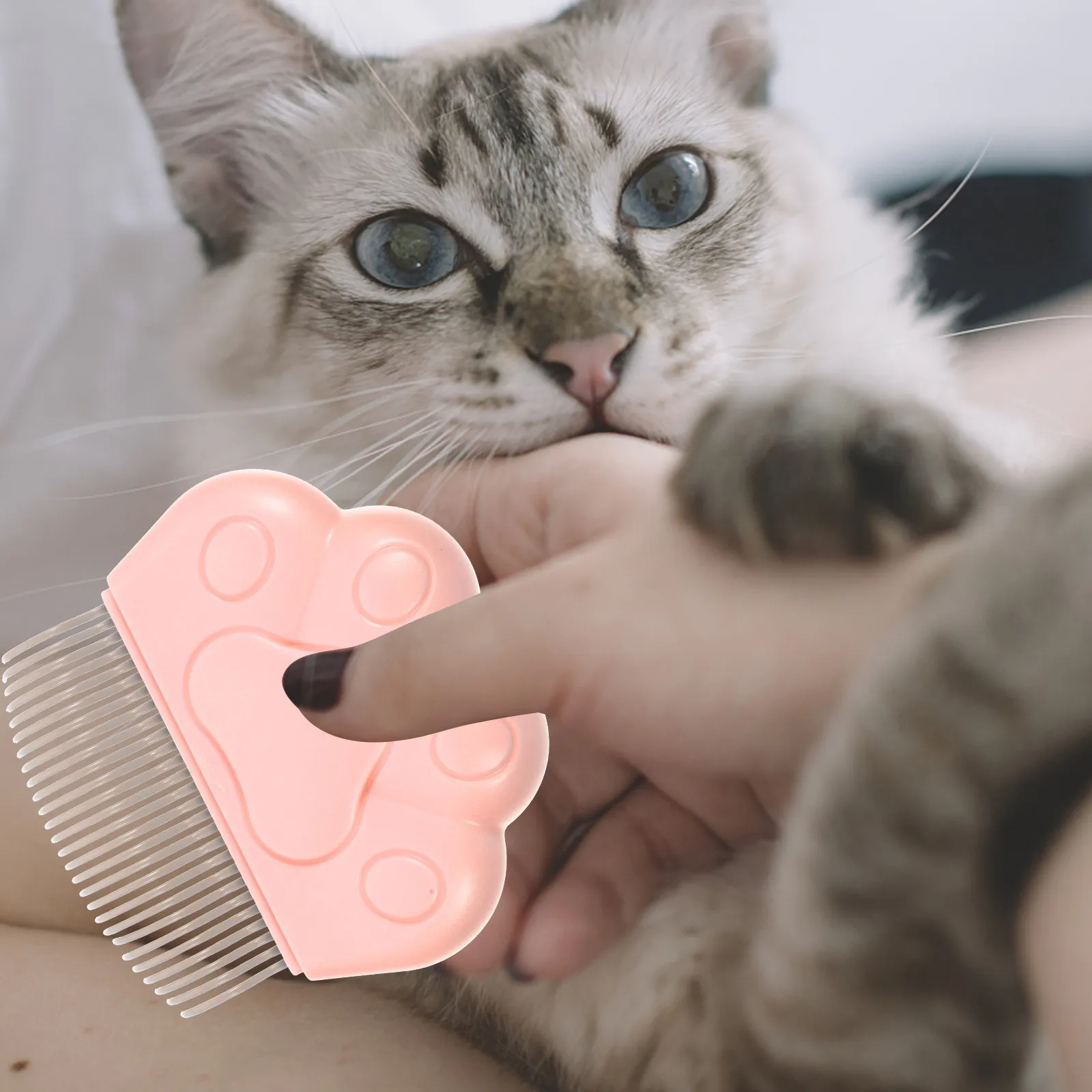 2개입 애완동물 그루밍 빗 고양이 발 모양 털 제거 브러쉬 실내 고양이 강아지 그루밍 브러쉬 편안한 사용 애완동물 털 제거 빗