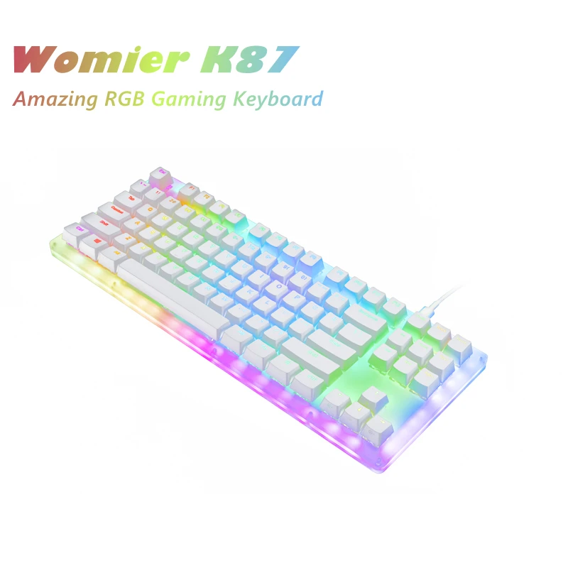 Womier K87 Gaming Keyboard Gateron Switch Hotswap Custom Mechanical Keyboard RGB Backlit Keyboard Compact 87 Key for PC PS4 Xbox best office keyboard