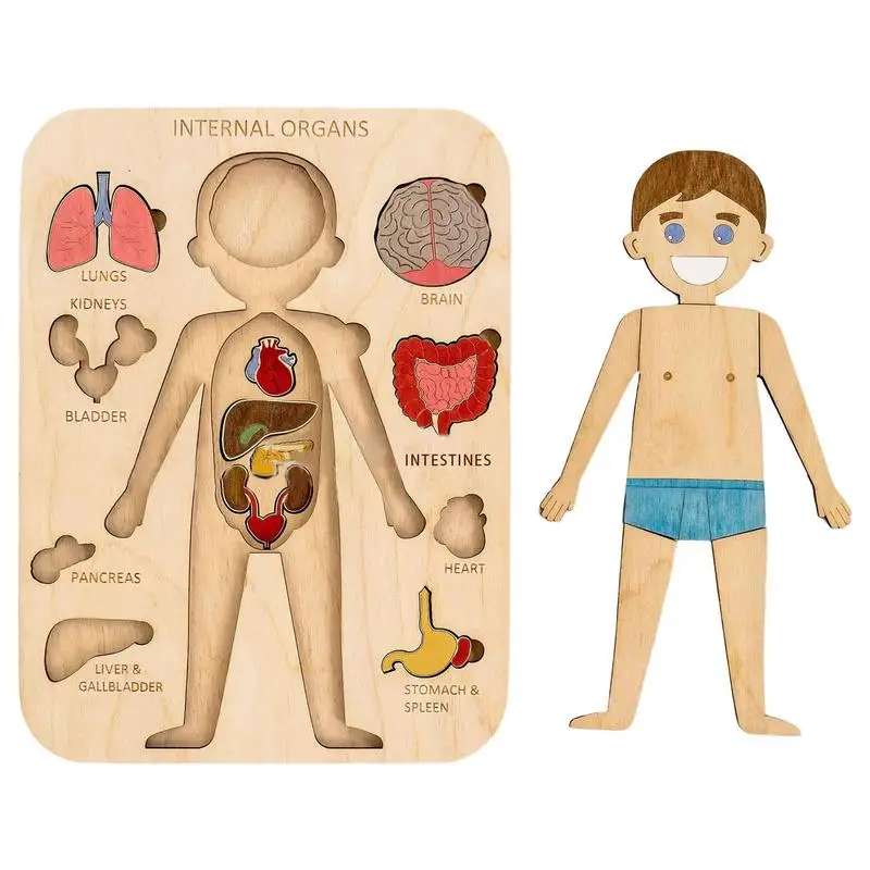 

Human body puzzle Wooden puzzle for children Educational jigsaw puzzles Human body parts Montessori interactive learning