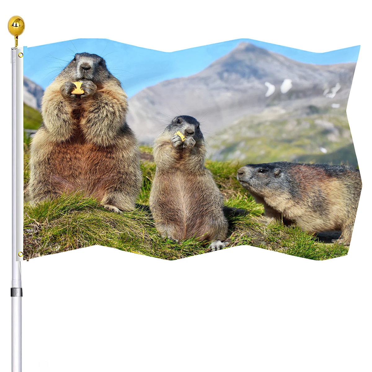 

Marmots In The Mountains Flag Small Cute Animals Double Stitched Flags Banner with Brass Grommets Indoor Outdoor Home Decoration