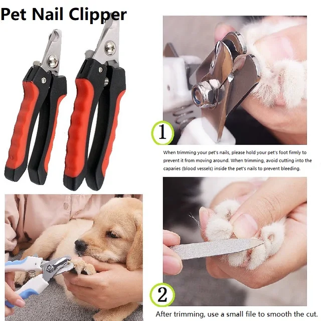 Pet Nail Clipper Claw Scissors for Dogs Cat Claw Scissors Dog Cutting Nails Coupe Griffe Chat Large Dog Nail Clippers GZJJ01 3