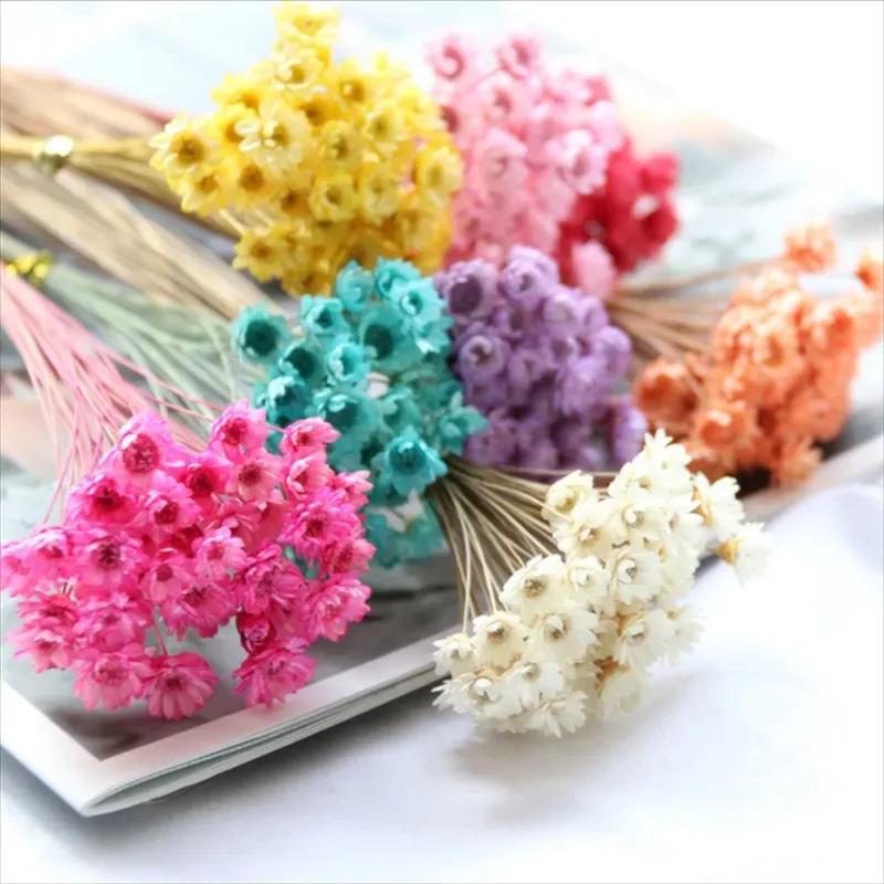 

200 Stems Natural Dry Flowers Brazilian Small Star Flowers Bouquet Daisy Decorative Dried Flowers for Wedding Floral Arrangement