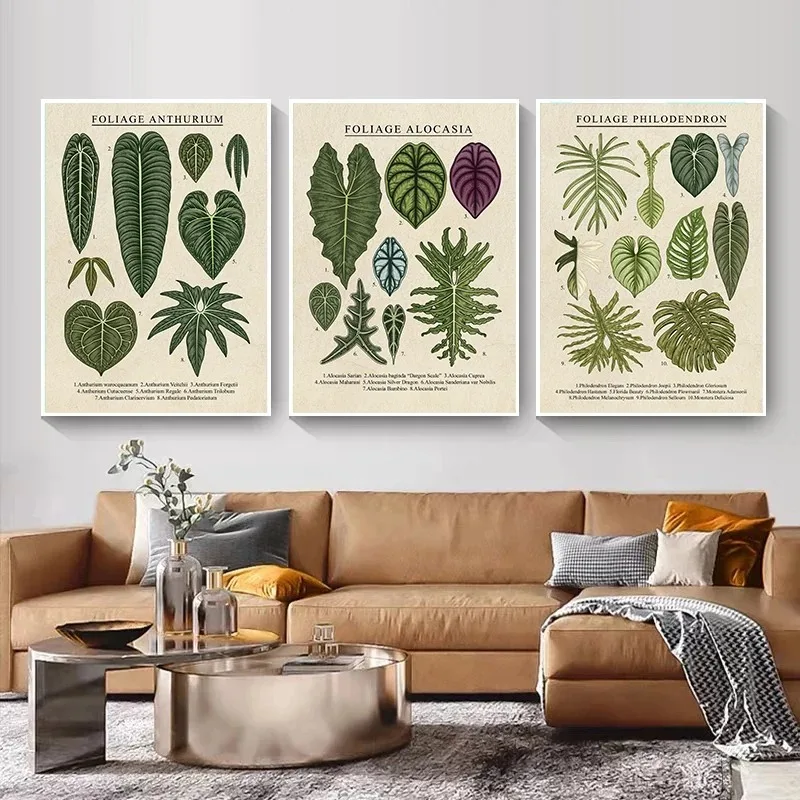 

Vintage Foliage Popular Science Plant Philodendron Poster and Prints Canvas Printing Wall Art Picture for Living Room Home Decor