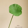Lotus leaf - L