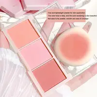 Blush Palette Natural Color Lasting Peach Cheek Tint,Face Contouring Blush Powder Non-Flying Powder Long-Lasting Cosmetic Makeup 2